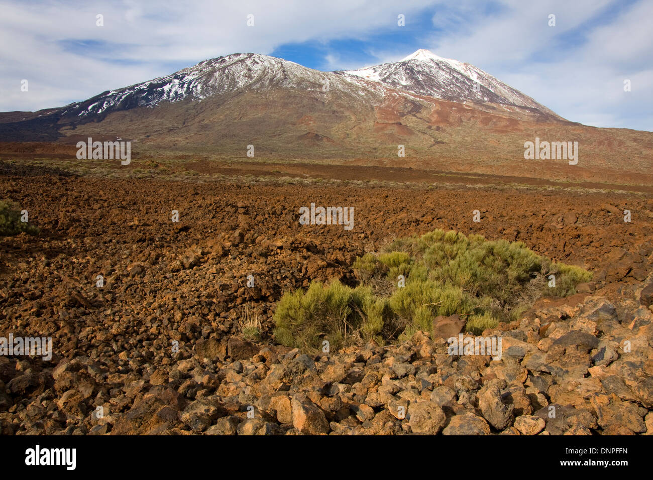 Der Teide, Teneriffa, Spanien Stockfoto