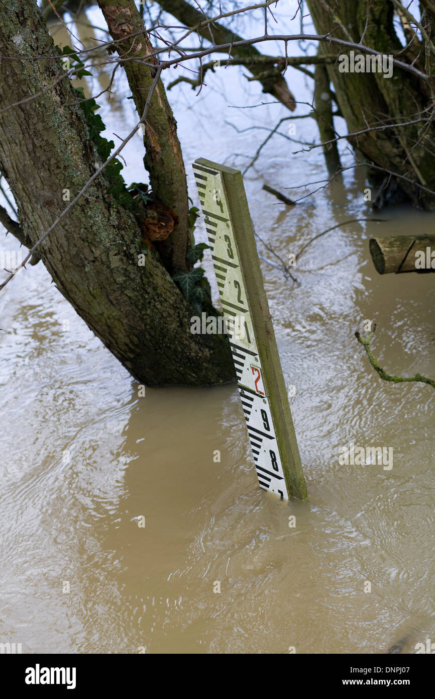 Bewaldeten Wasserstand Messung Messgerät Submersed in Fluten Stockfoto