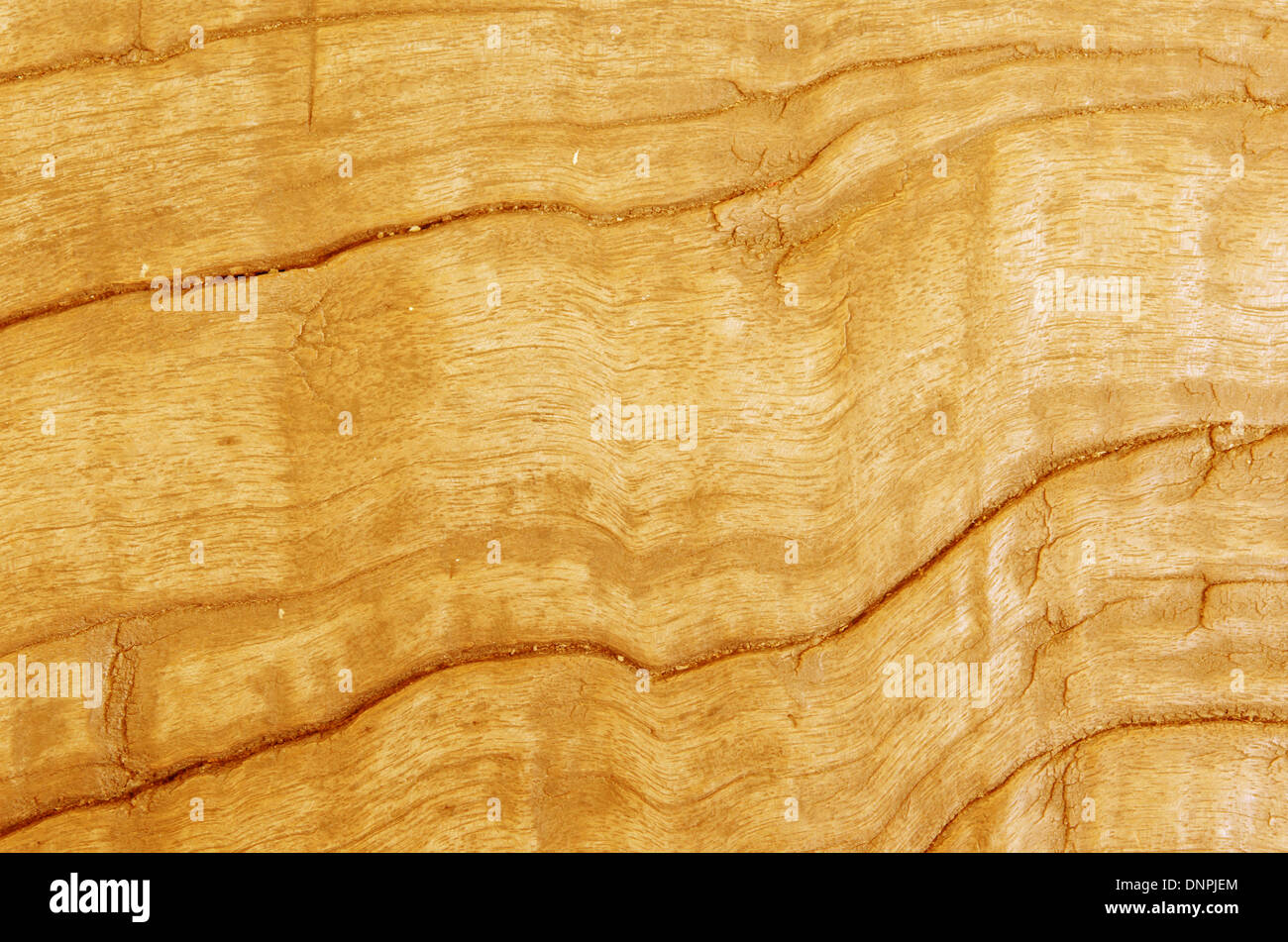 alte hölzerne Hintergrund, braun Holzstruktur hautnah Stockfoto