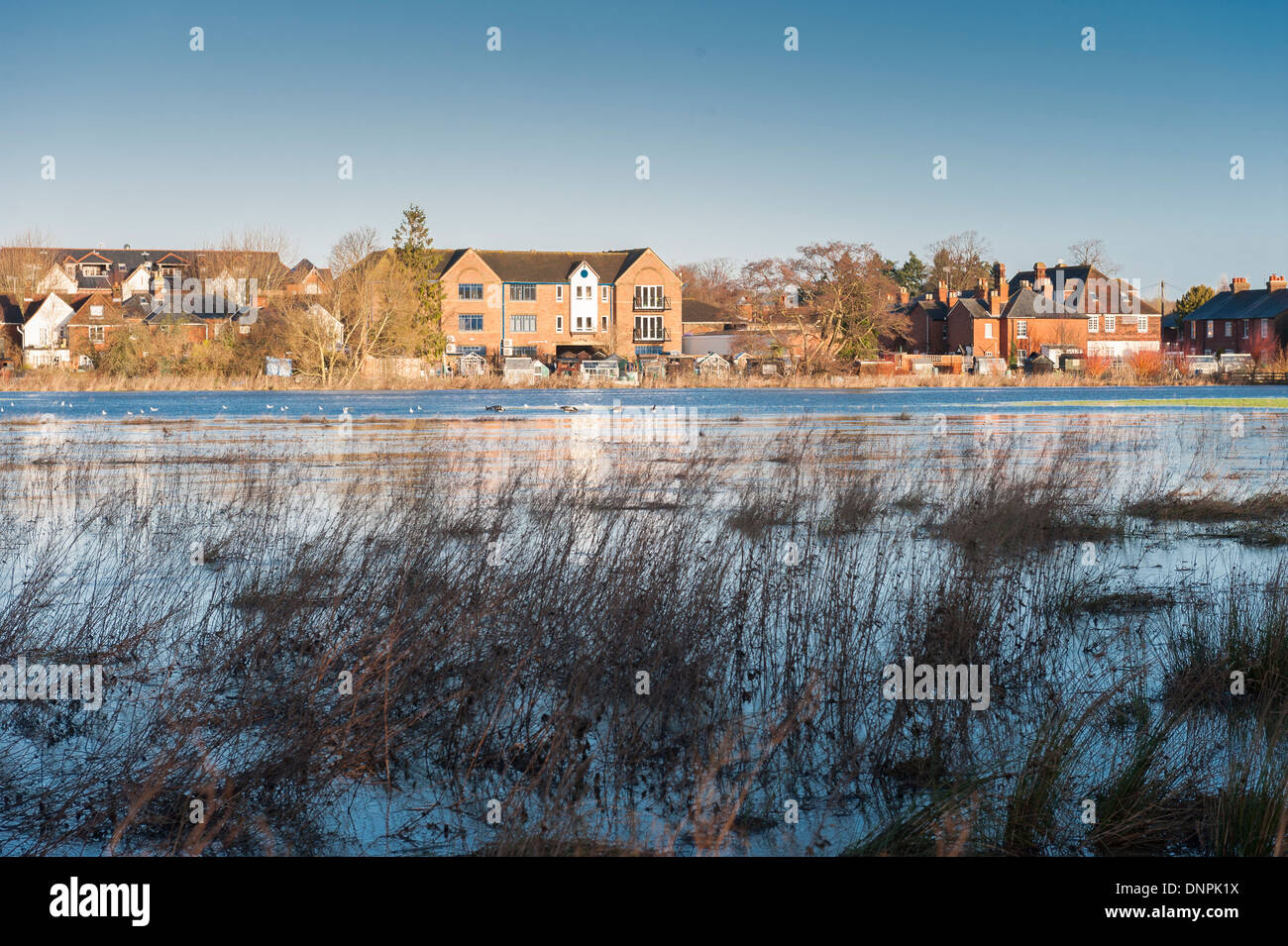 Überschwemmung, Godalming, Surrey, England Stockfoto