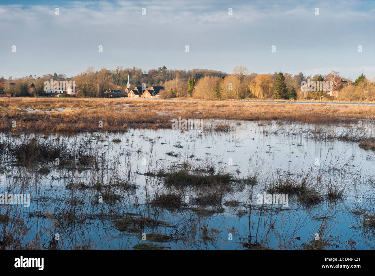 Überschwemmung, Godalming, Surrey, England Stockfoto