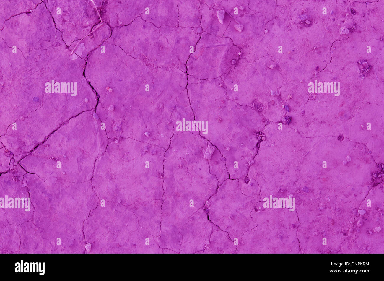 Trockenes Land hautnah. Boden, lila farbigen Hintergrund geknackt. Stockfoto
