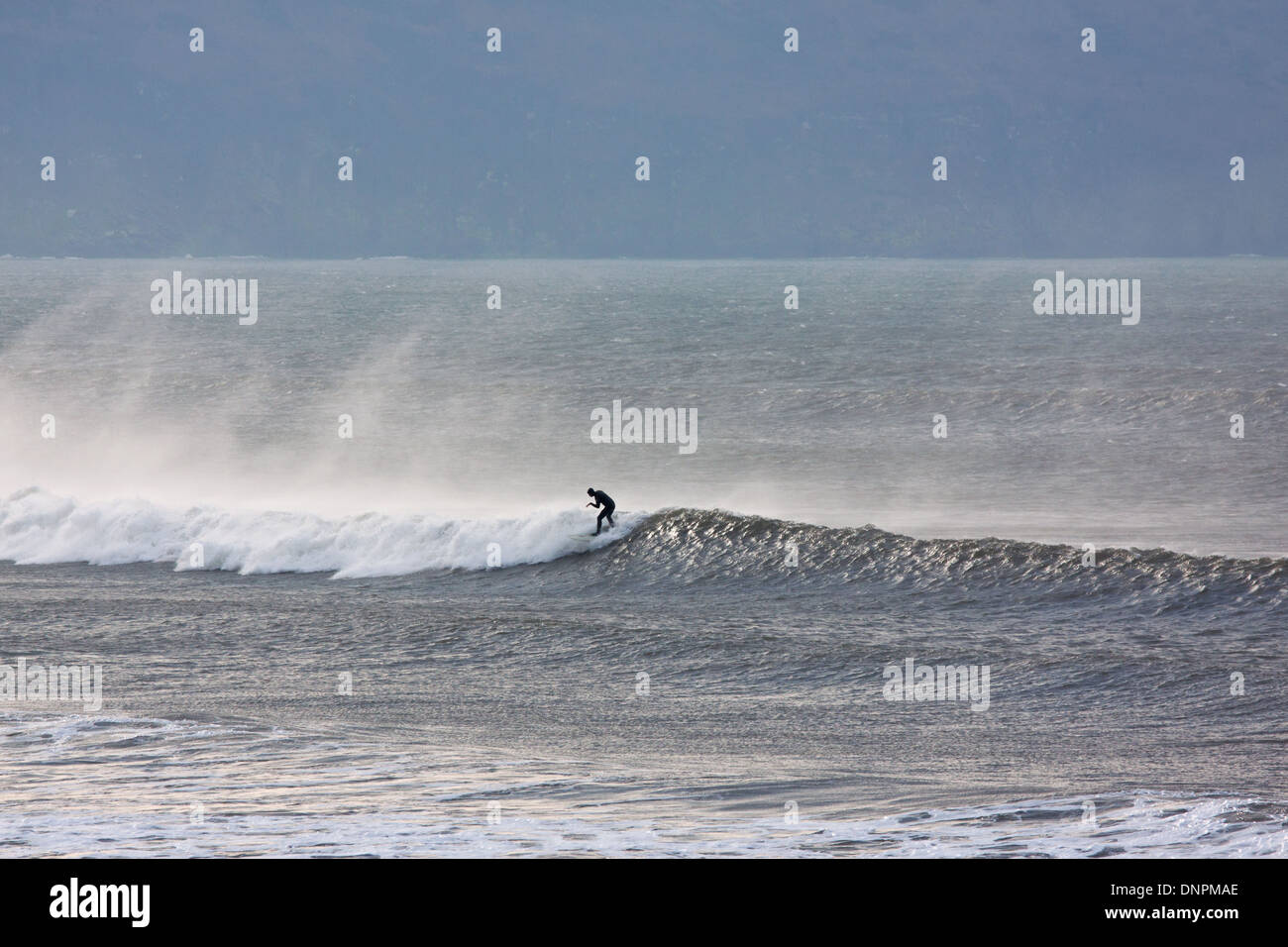 Ein Surfer cresting eine Welle im Woolacombe Bay in North Devon, England. Dieser Küstenabschnitt ist beliebt bei Surfern in UK Stockfoto