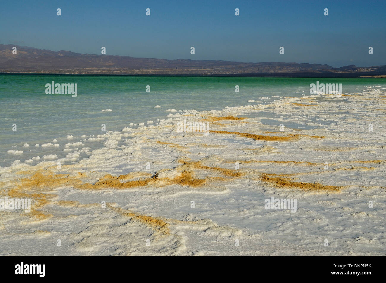 Salz-Platten von der Sonne an den Ufern des Lake Assal, Dschibuti getrocknet Stockfoto