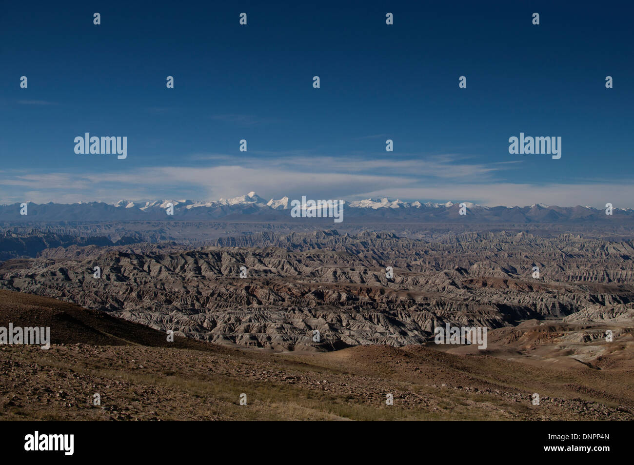 Das Sutlej-Tal in Westtibet, wo befindet sich die Hauptstadt des Königreiches Guge. Stockfoto