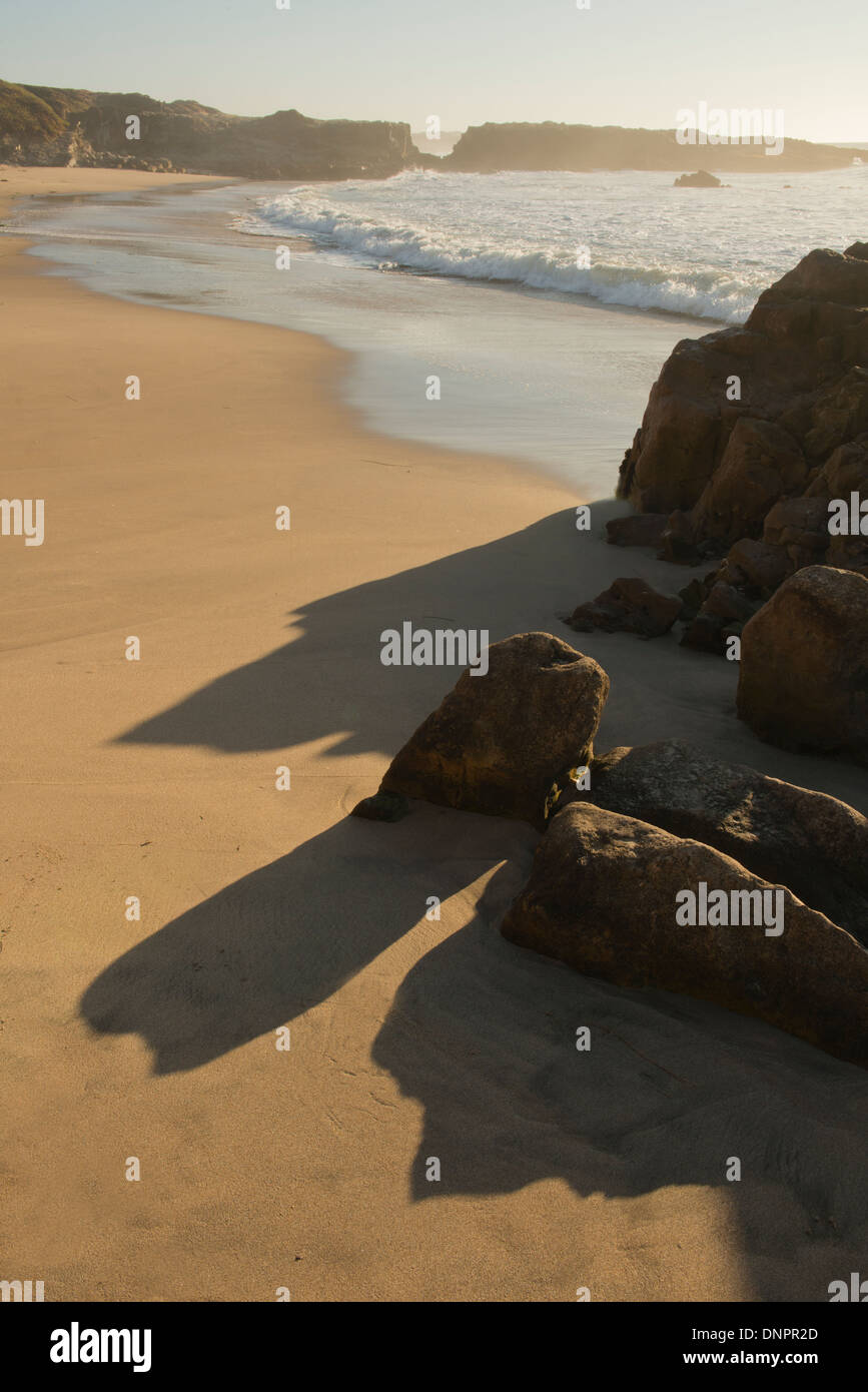 Coastal Beach, Pescadero State Beach, Kalifornien Stockfoto