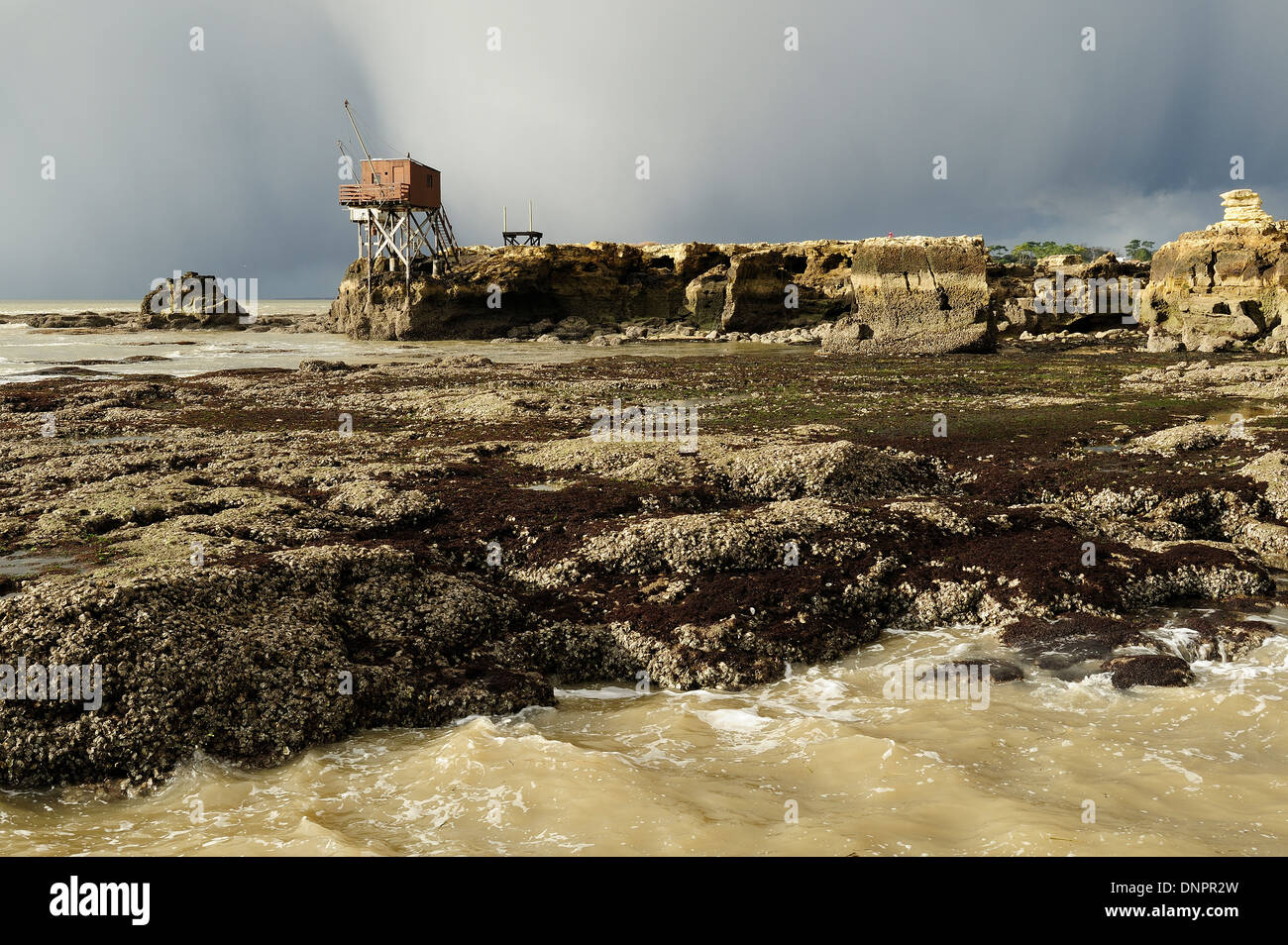 Angeln-Kabine entlang der Gironde-Mündung in der Nähe von Saint Palais-Sur Mer in Charente-Maritime, Frankreich Stockfoto