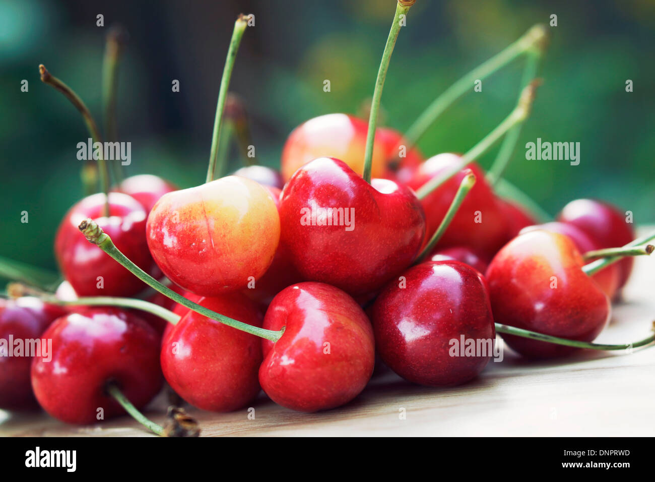 Kirschen, frisch Kirschen Stockfoto
