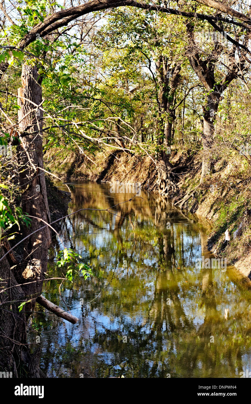 Süßwasser-Stream im Wald von Towne Park, Mc Kinney, Texas, USA Stockfoto