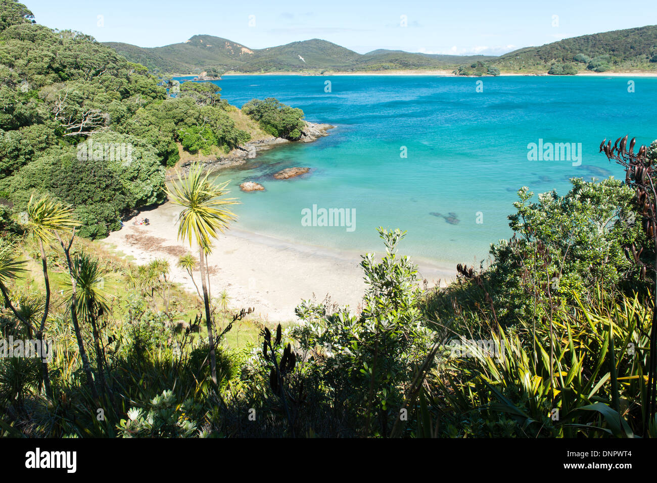 Maitai Bay, Neuseeland Stockfoto