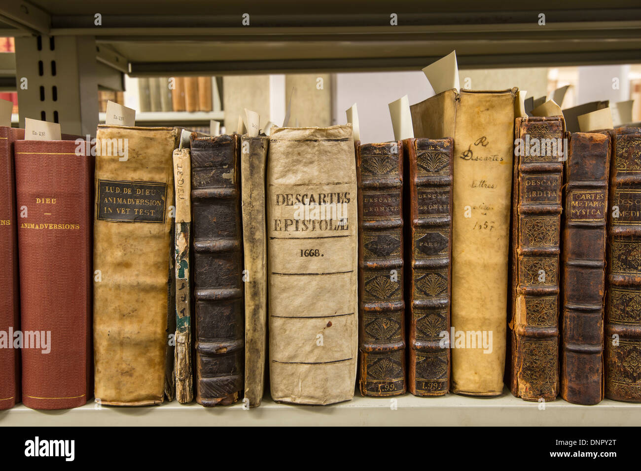Alte und seltene Bücher Stockfoto