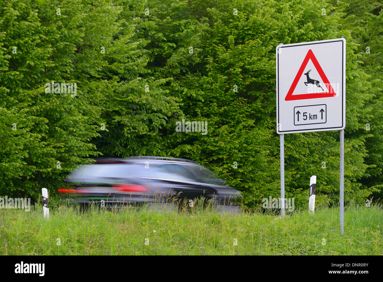 Gefahr zu signieren, wilde Tiere kreuzen, Spessart, Bayern, Deutschland, Europa Stockfoto