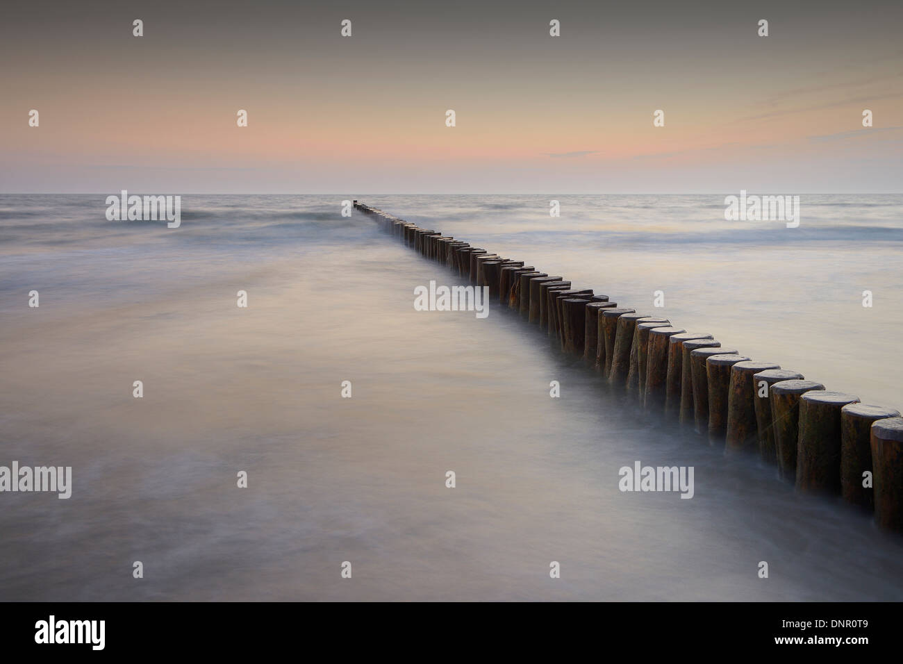 Buhne vor Sonnenaufgang, Zingst, Darß, Fischland-Darß, Ostsee, Mecklenburg-Western Pomerania, Deutschland, Europa Stockfoto