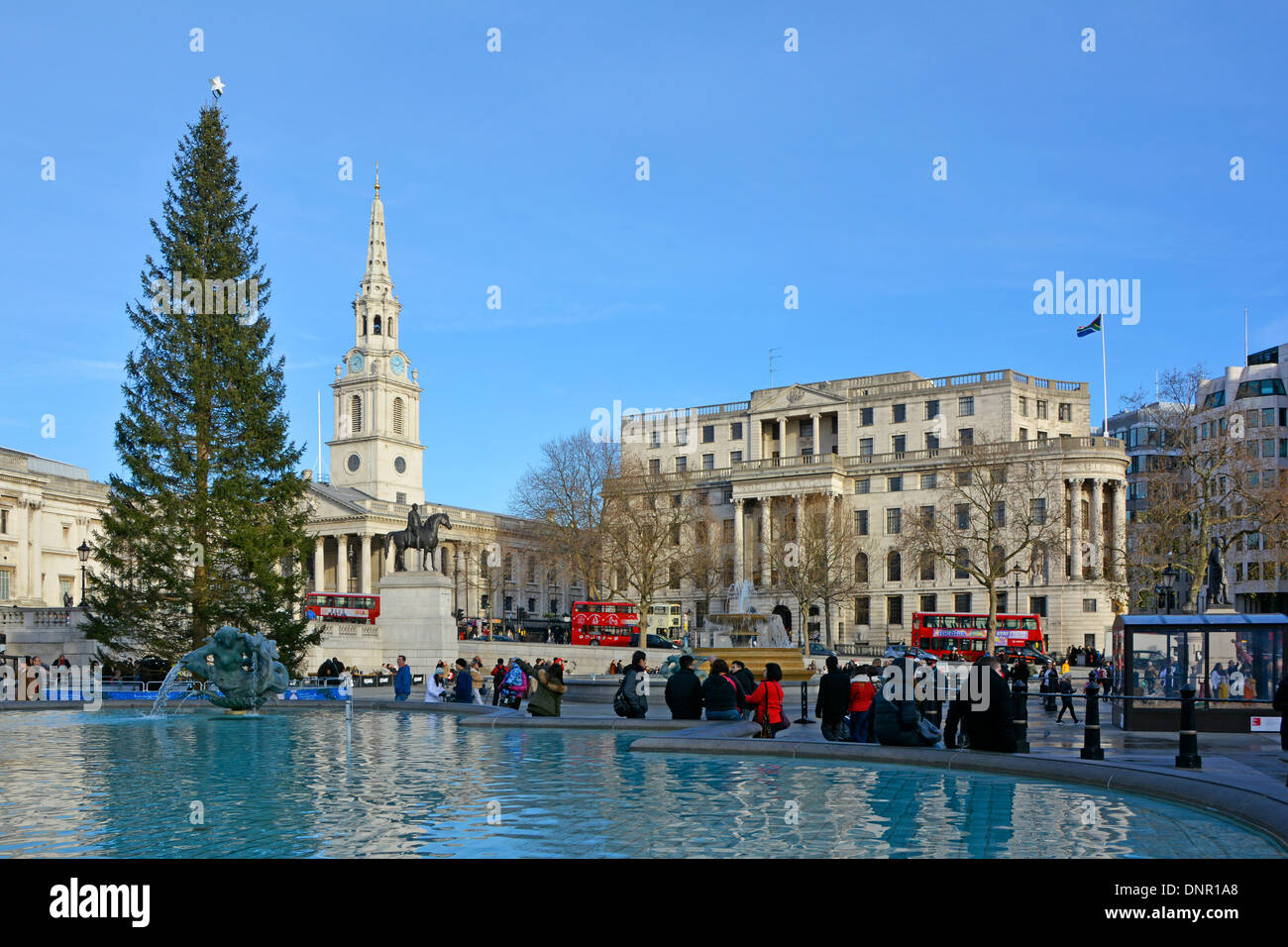 Weihnachtsbaum auf dem Trafalgar Square mit Südafrika Haus und Kirche und Turm von St. Martin in den Bereichen blaue Himmel Tag London England Großbritannien Stockfoto
