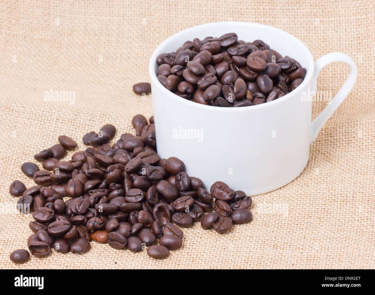 Tasse voll Kaffee Bohnen mit Sackleinen. Stockfoto