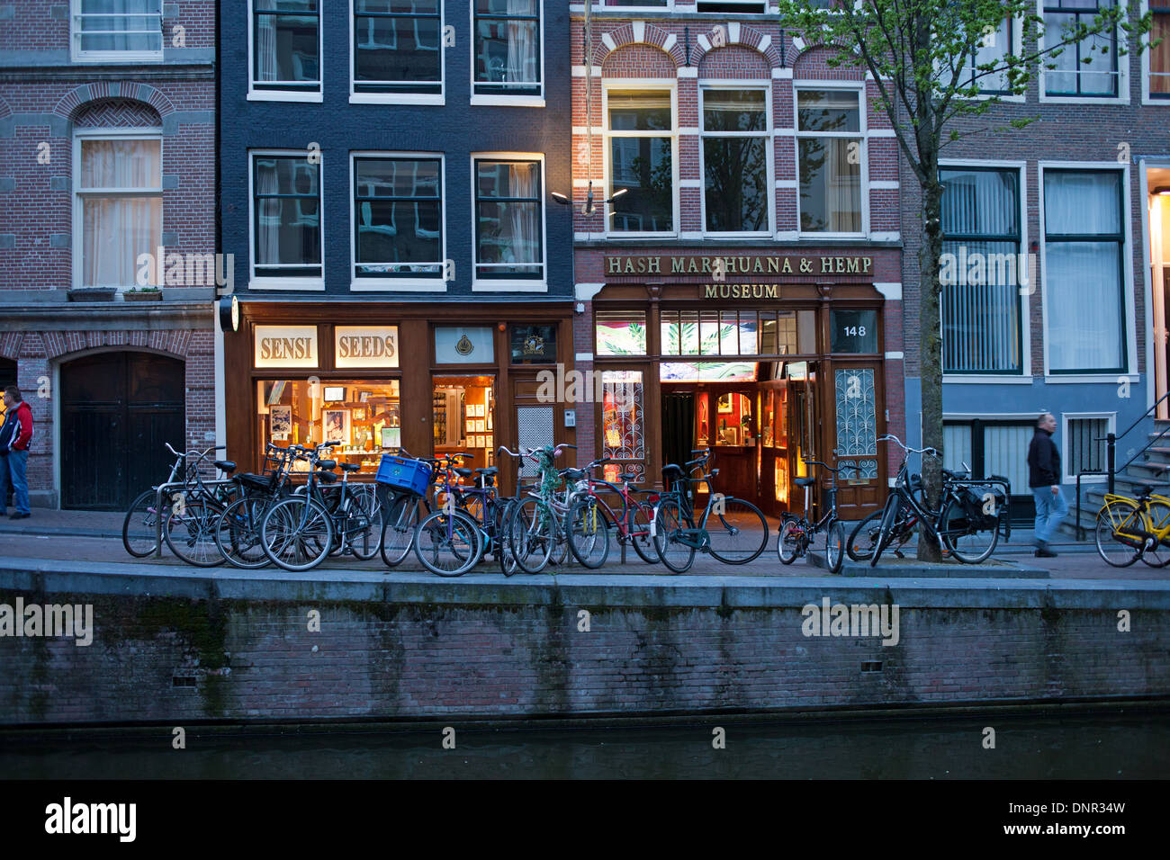 Hash Marihuana und Hanf-Museum in Amsterdam, in der Nacht am Oudezijds Achterburgwal 148, Holland, Niederlande. Stockfoto