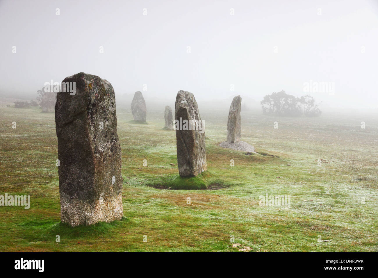 Eine Reihe von prähistorischen Menhiren im Nebel. Stockfoto
