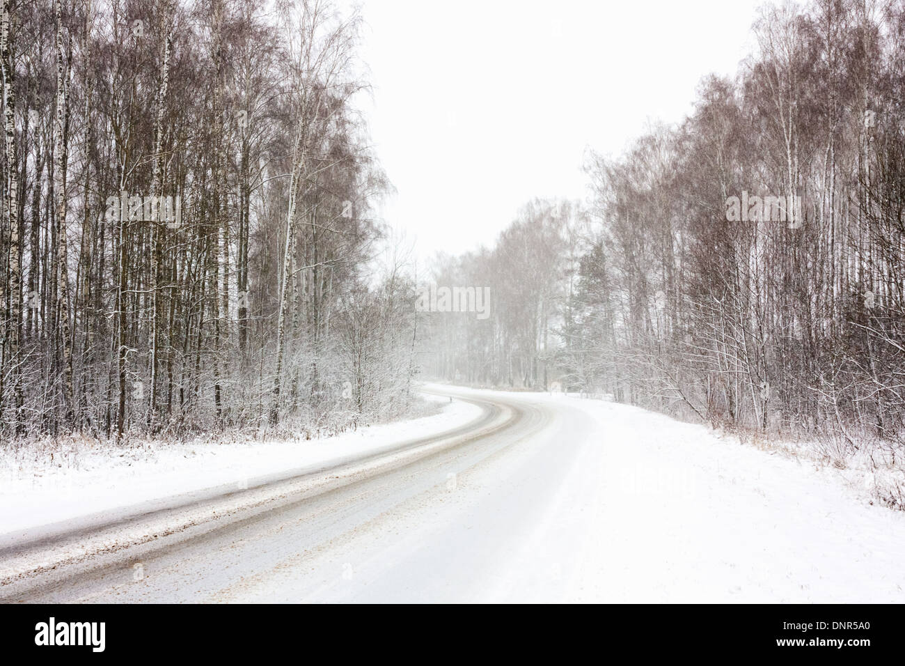 Snowy Land Straße im Winter. Widrige Wetterbedingungen Stockfoto