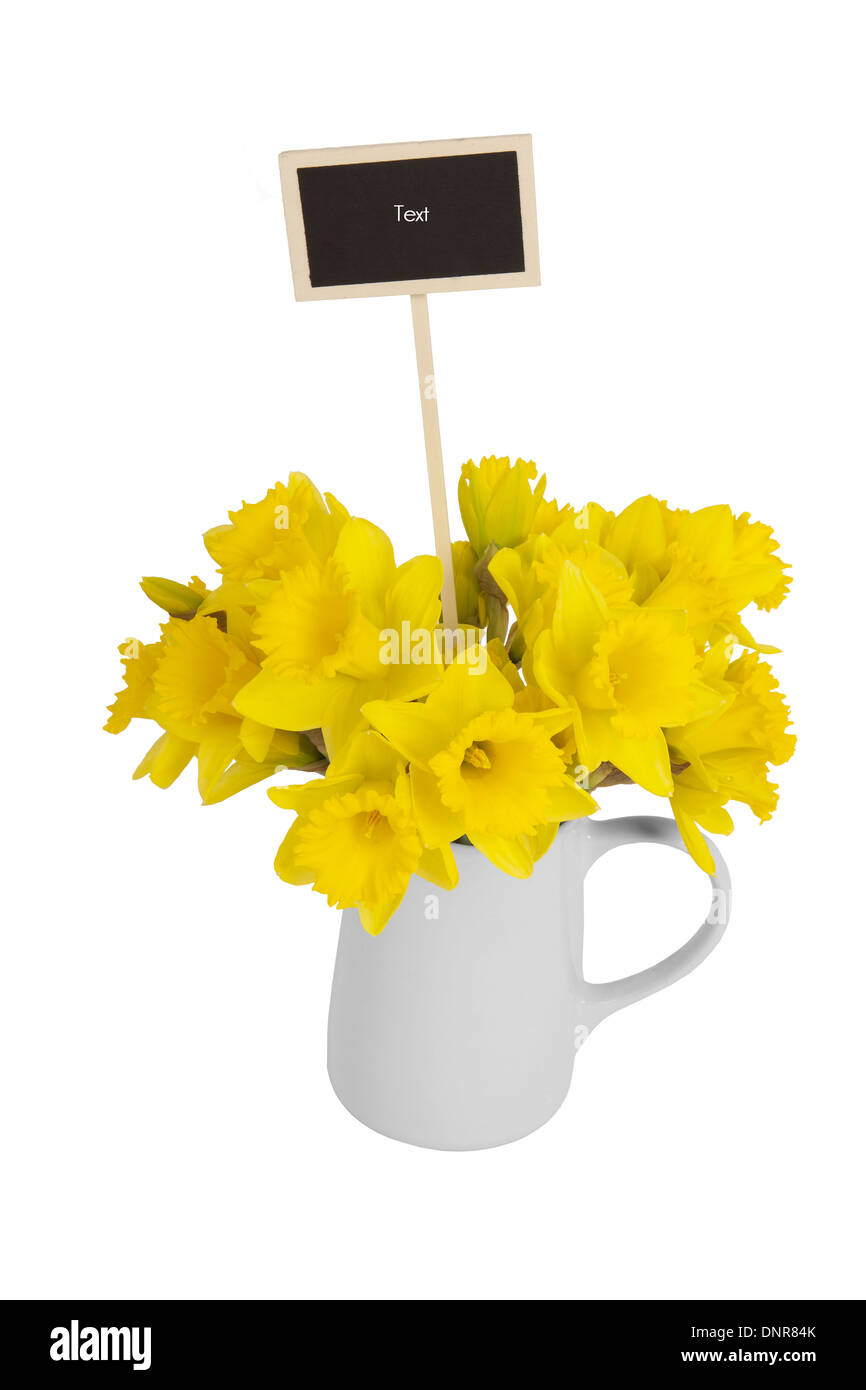 Narzissen in Vase, eine Platte mit der Inschrift Text, Hintergrund weiß Stockfoto