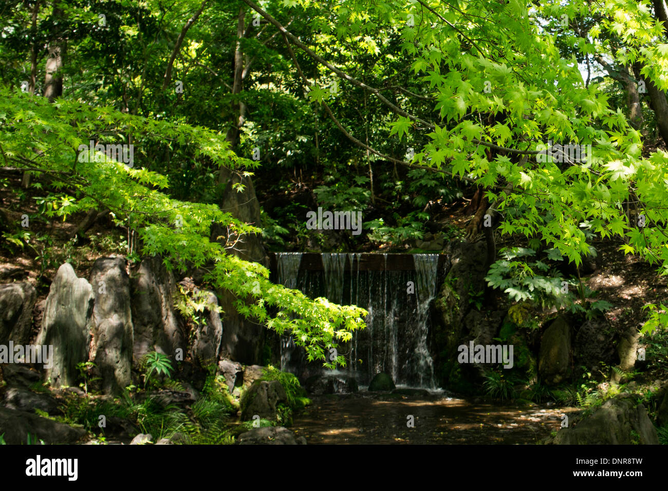 Kleine Wasserfälle in Koishikawa Korakuen Gärten, Tokyo, Japan Stockfoto
