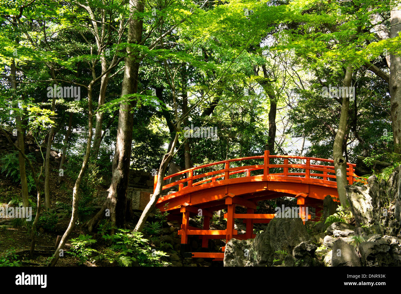 Eine Brücke mit Tress um in Koishikawa Korakuen Gärten, Tokyo, Japan Stockfoto
