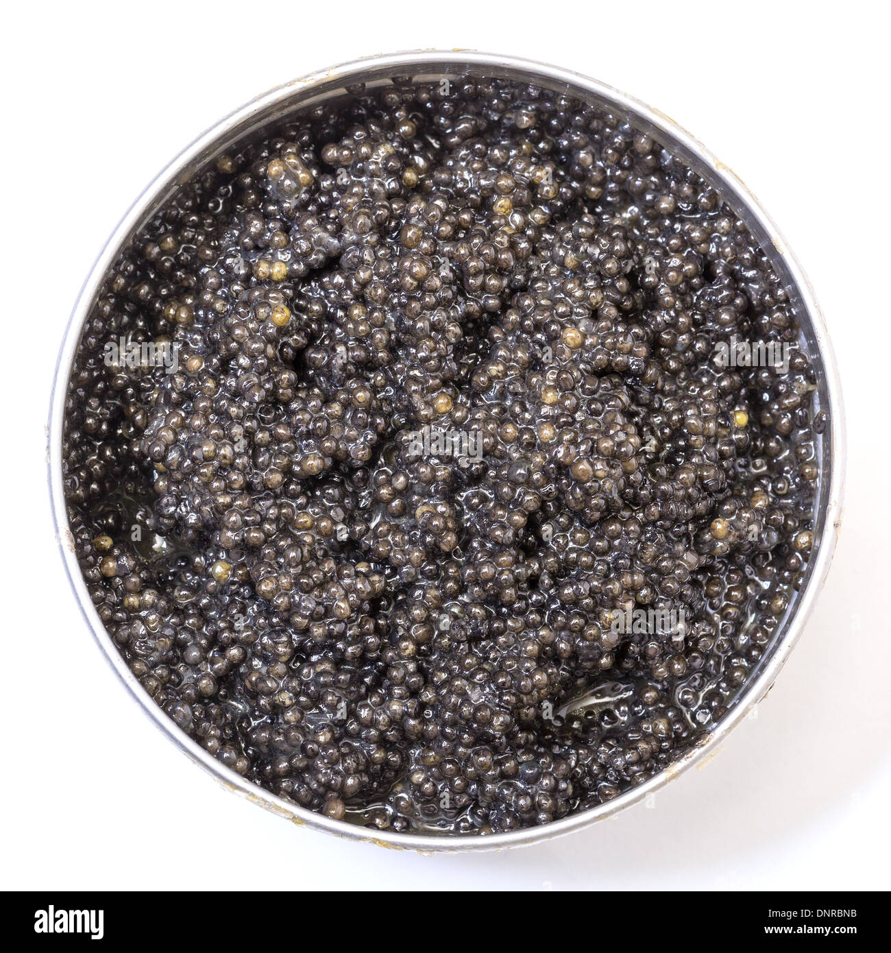 Schwarzer Kaviar in Metalldose, Draufsicht auf weißem Hintergrund Stockfoto