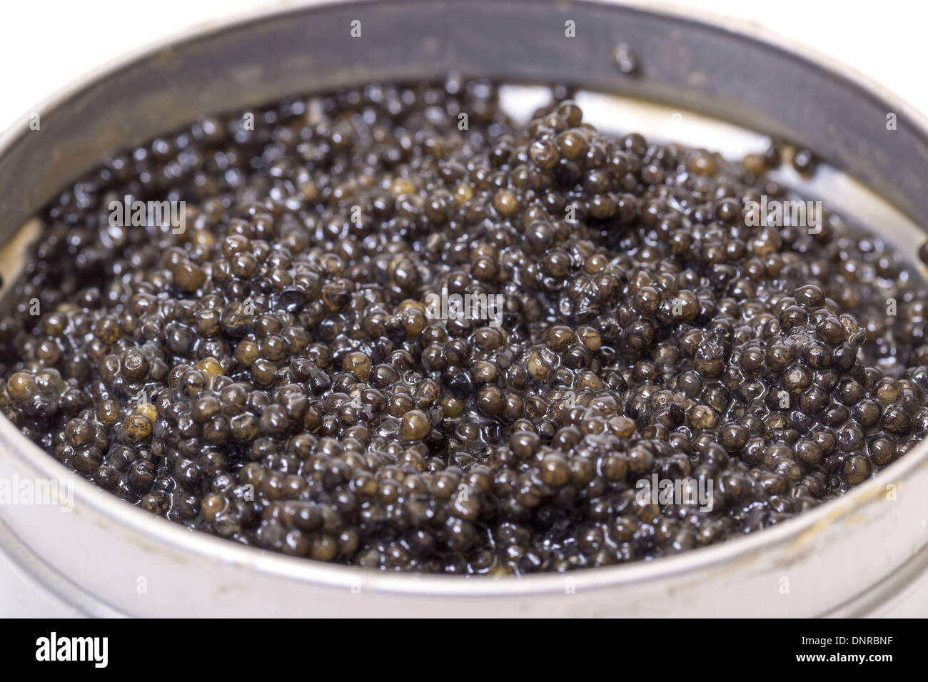 Schwarzer Kaviar in Metalldose, hoher Winkel auf weißem Hintergrund Stockfoto