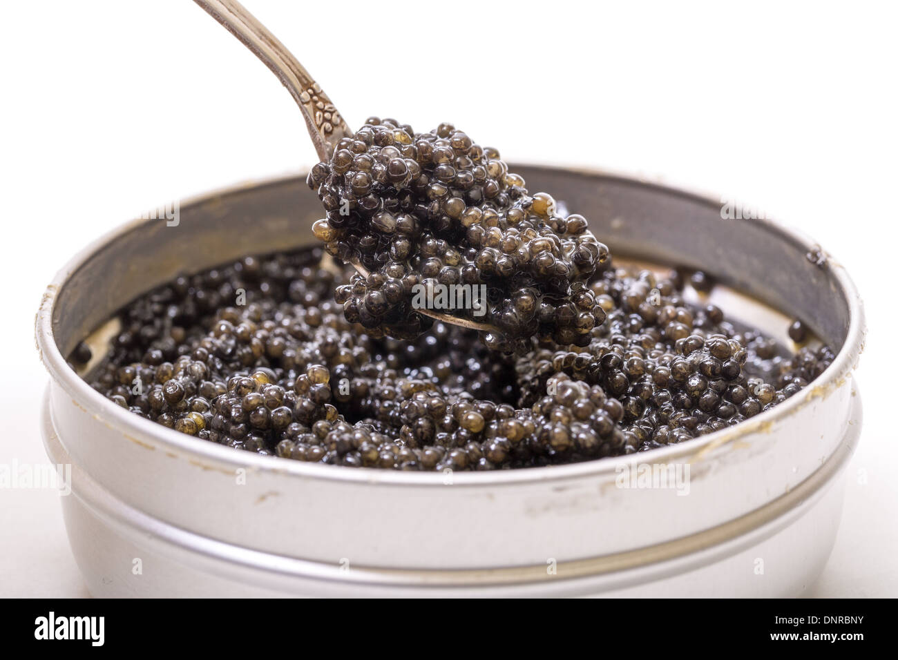 Schwarzer Kaviar Löffel aus Metall Dose, hohe Winkel auf weißem Hintergrund Stockfoto