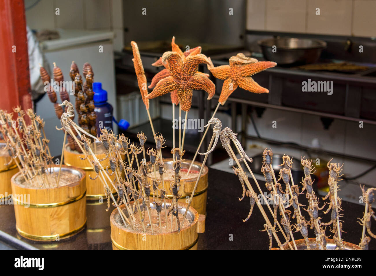 Seesterne und Scorpion Shish-Kebab in Wangfujing-Straße in Peking, China Stockfoto