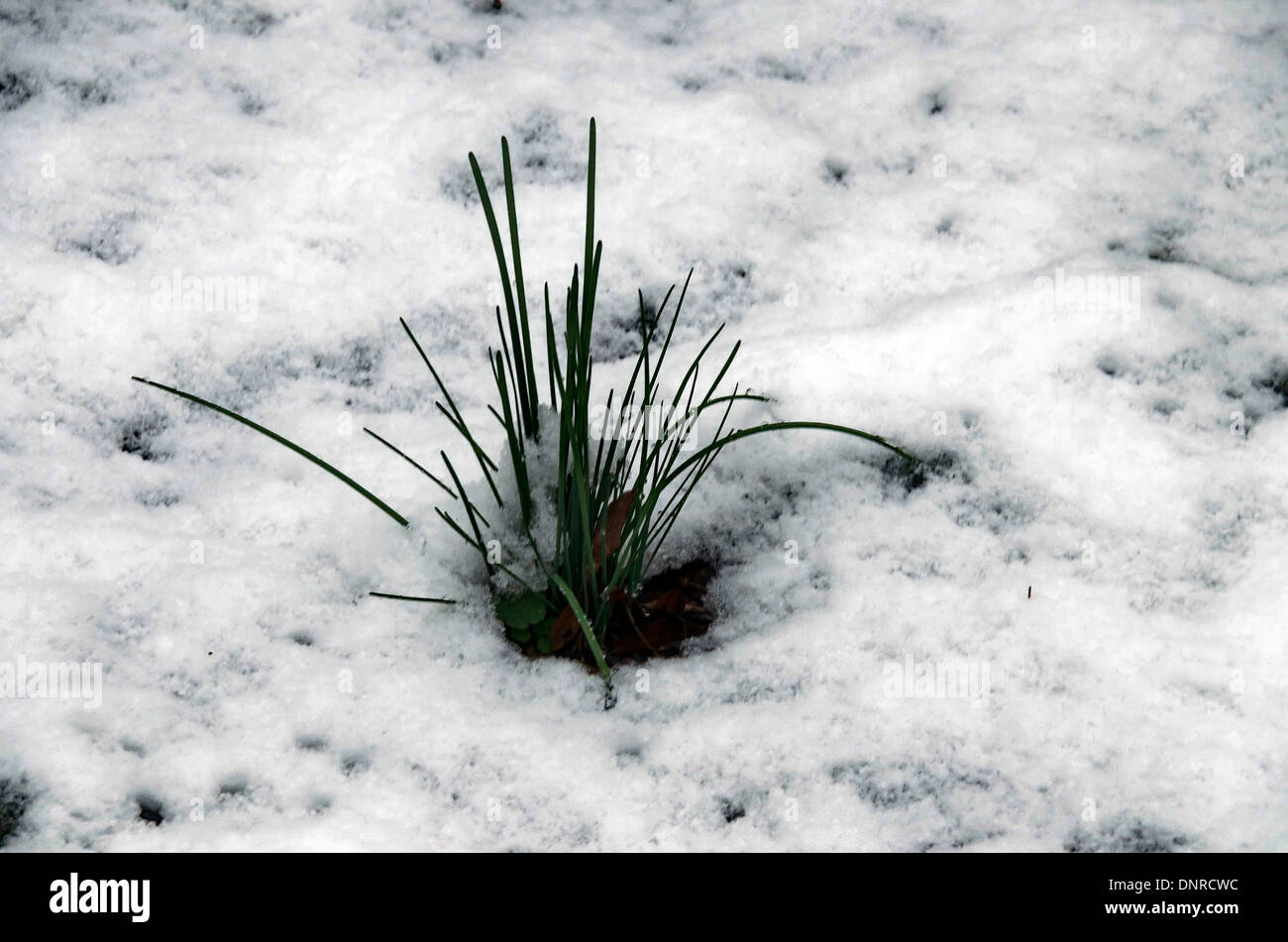 Blick auf Eisfeld im Winter Park, Bulgarien Stockfoto