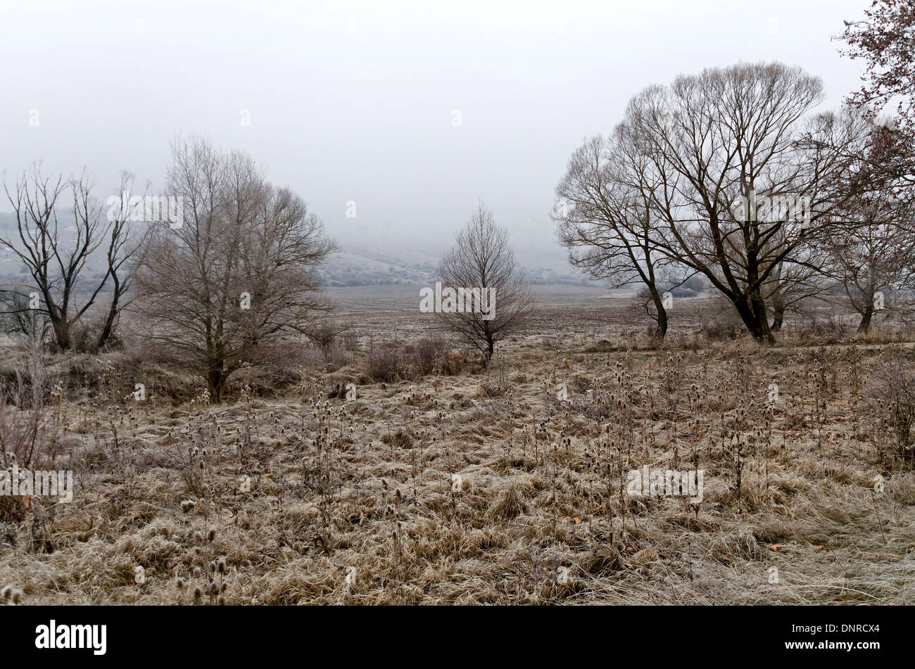 Blick auf offenen Eisfeld im Winter Mountain Balkan, Bulgarien Stockfoto