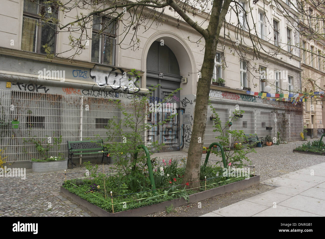 Bürgersteig Baum, Blume Bett Tulpen, Blumentöpfe Schlingpflanzen Frame, Graffiti Gekrakel vorderen Appartementhaus, 34 Knaackstrasse, Berlin Stockfoto