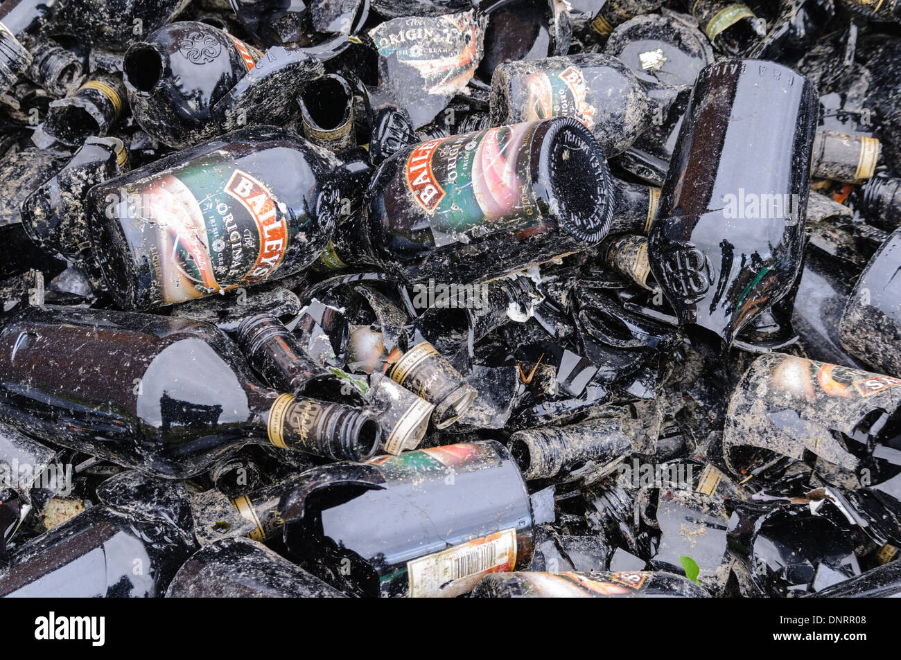 Stapel der leeren Flaschen Baileys an einem Recycling Center Stockfoto