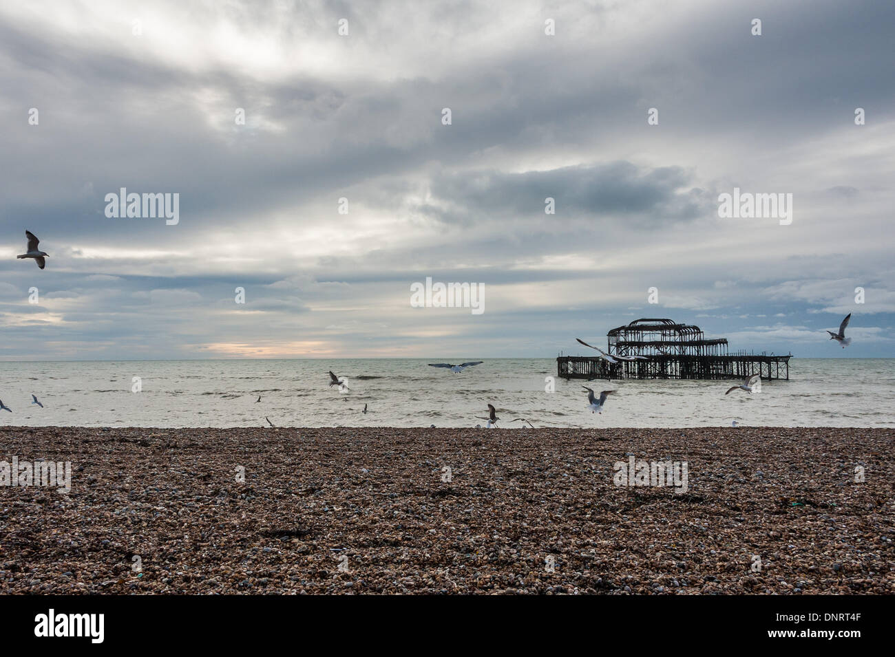 Brighton, UK. 5. Januar 2013. Eine einsame Surfer ist Pech, als er während einer Pause bei stürmischem Wetter für große Wellen heute von Brightons West Pier wartet. Bildnachweis: Julia Claxton/Alamy Live News Stockfoto