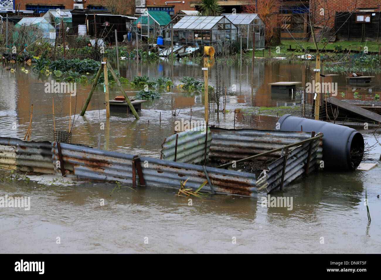 Godalming, Großbritannien. 5. Januar 2013. Überflutete Gärten in Godalming, Surrey heute Morgen, nachdem der Fluss Wey seinen Ufern wieder platzt. Bildnachweis: Joanne Roberts/Alamy Live-Nachrichten Stockfoto