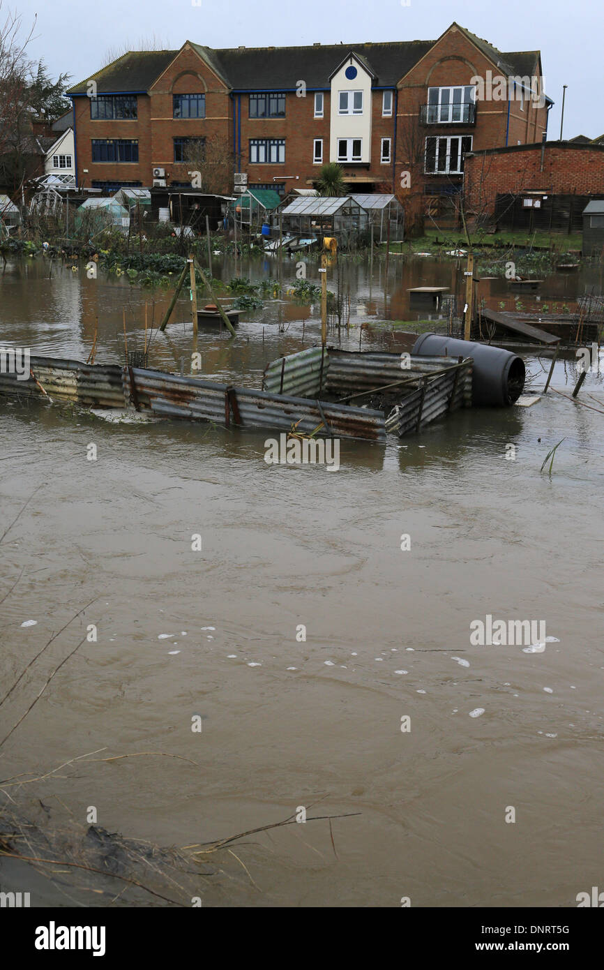 Godalming, Großbritannien. 5. Januar 2013. Überflutete Gärten in Godalming, Surrey heute Morgen, nachdem der Fluss Wey seinen Ufern wieder platzt. Bildnachweis: Joanne Roberts/Alamy Live-Nachrichten Stockfoto