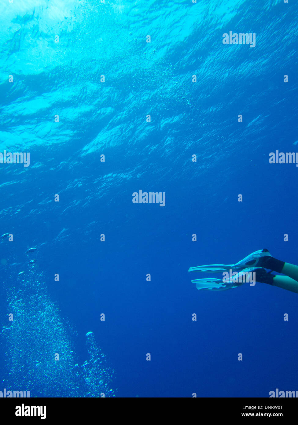 Die Luftblasen ein Taucher-Rennen in Richtung der Oberfläche als die Flossen von einem anderen Kopf aus dem Rahmen. Stockfoto