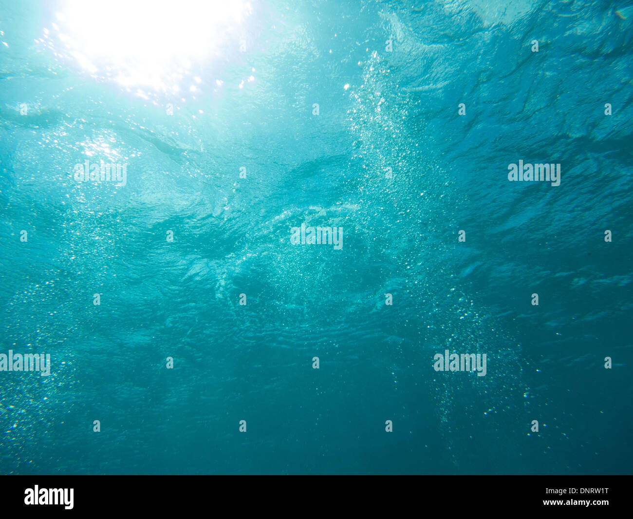 Bubbles von einer Regulierungsbehörde eines Tauchers unter Wasser. Stockfoto