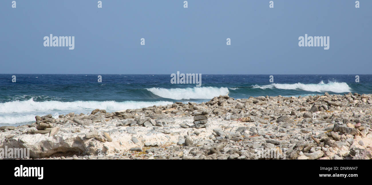 Die Wellen kommen Bonaires Luv Küste. Stockfoto