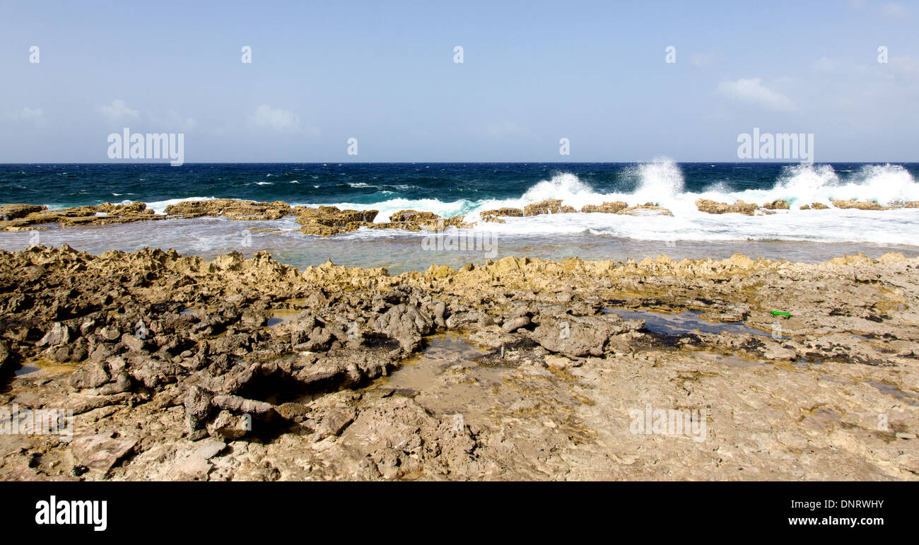 Die Wellen kommen Bonaires Luv Küste. Stockfoto