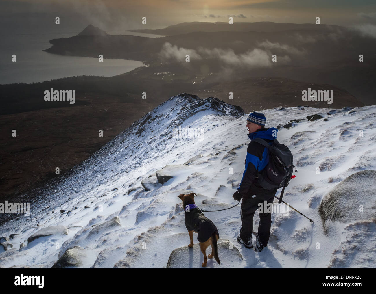 Haustiere: Ziege fiel im Winter mit Walker und Hund, Isle of Arran, Schottland, Großbritannien Stockfoto