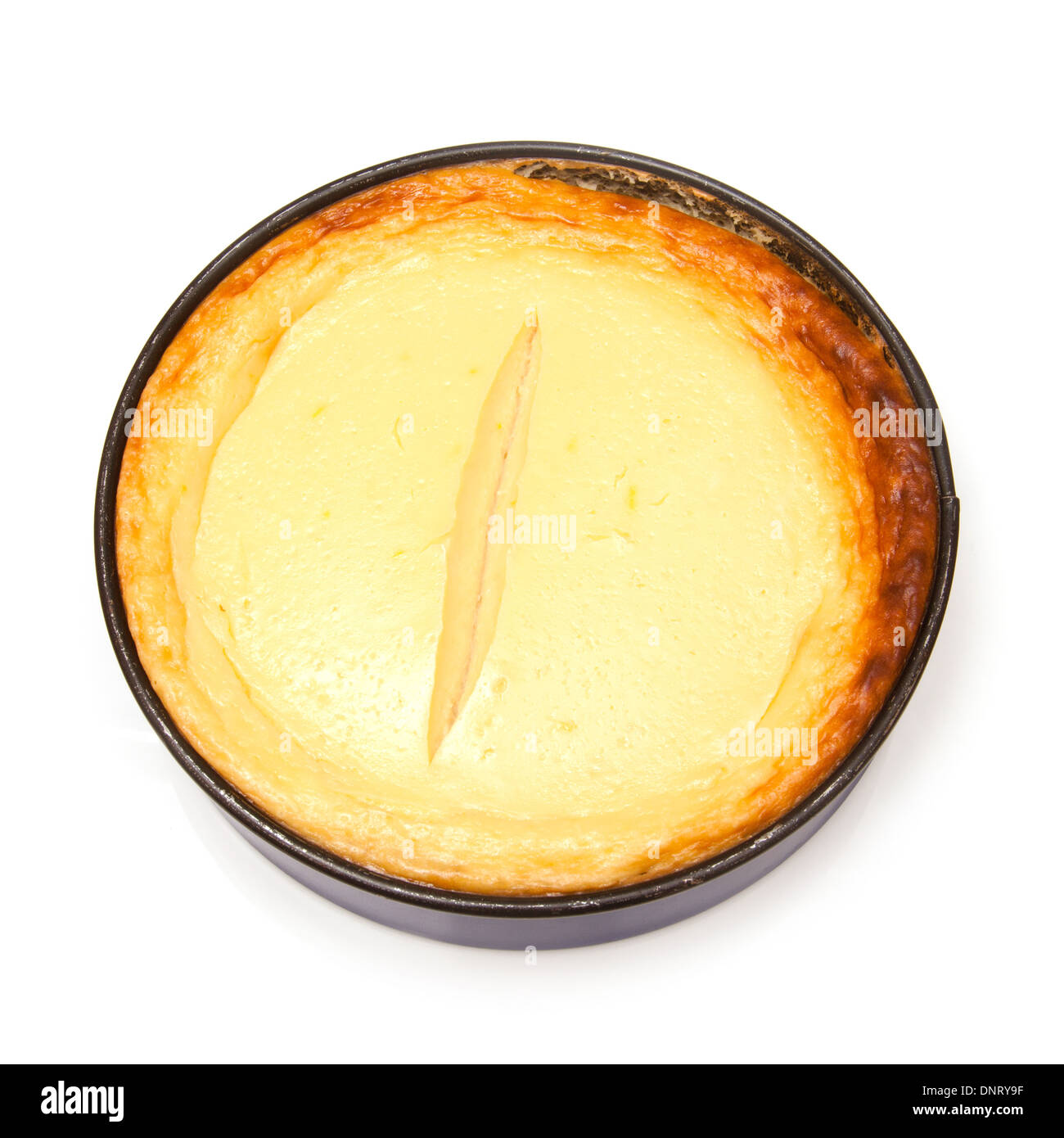 New York Cheesecake isoliert auf einem weißen Studio-Hintergrund. Stockfoto