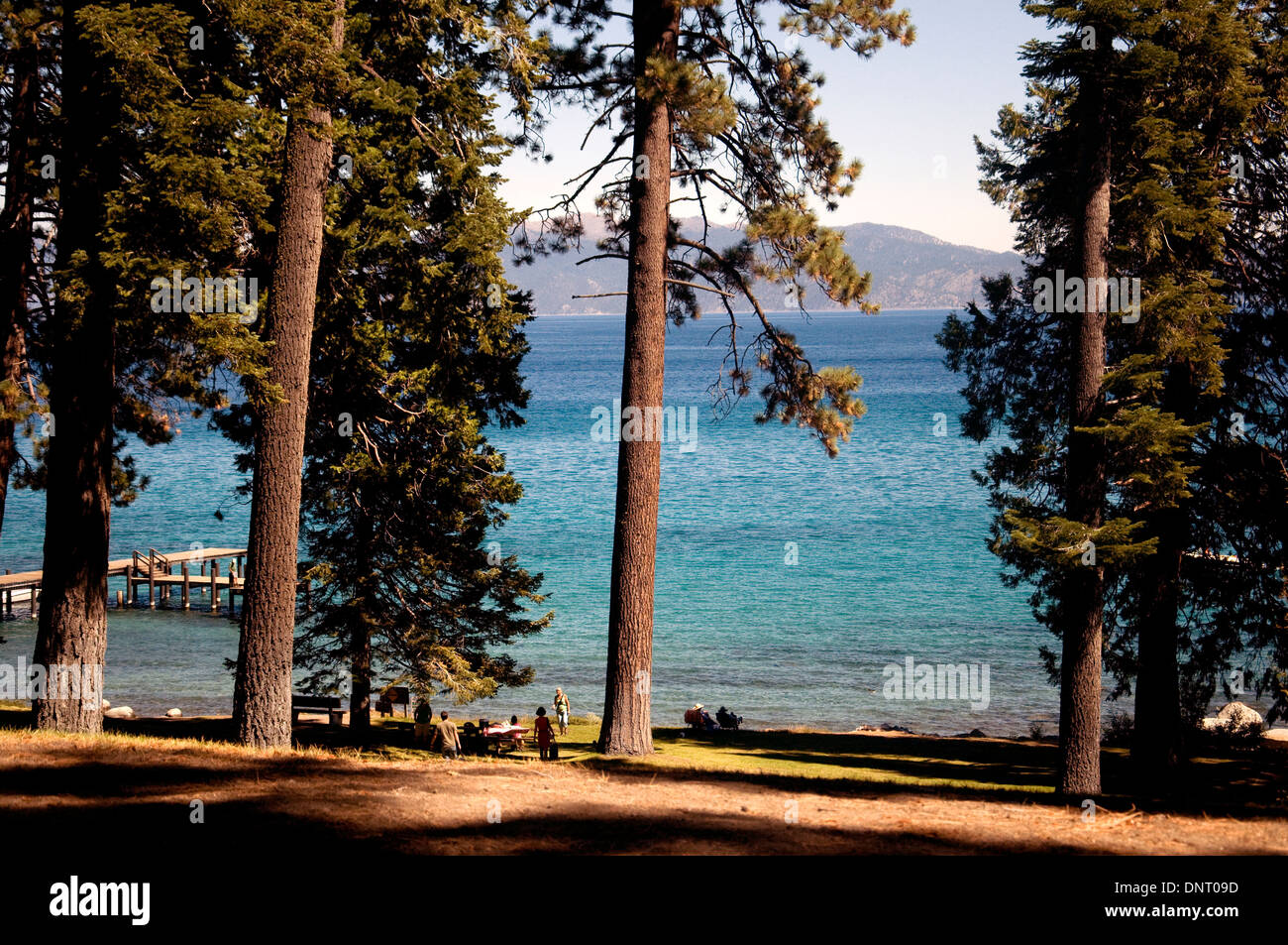 Sommer Blick auf Lake Tahoe von Pine Lodge an Stelle von Zucker-Kiefer in einer der schönsten State Parks in Kalifornien Stockfoto