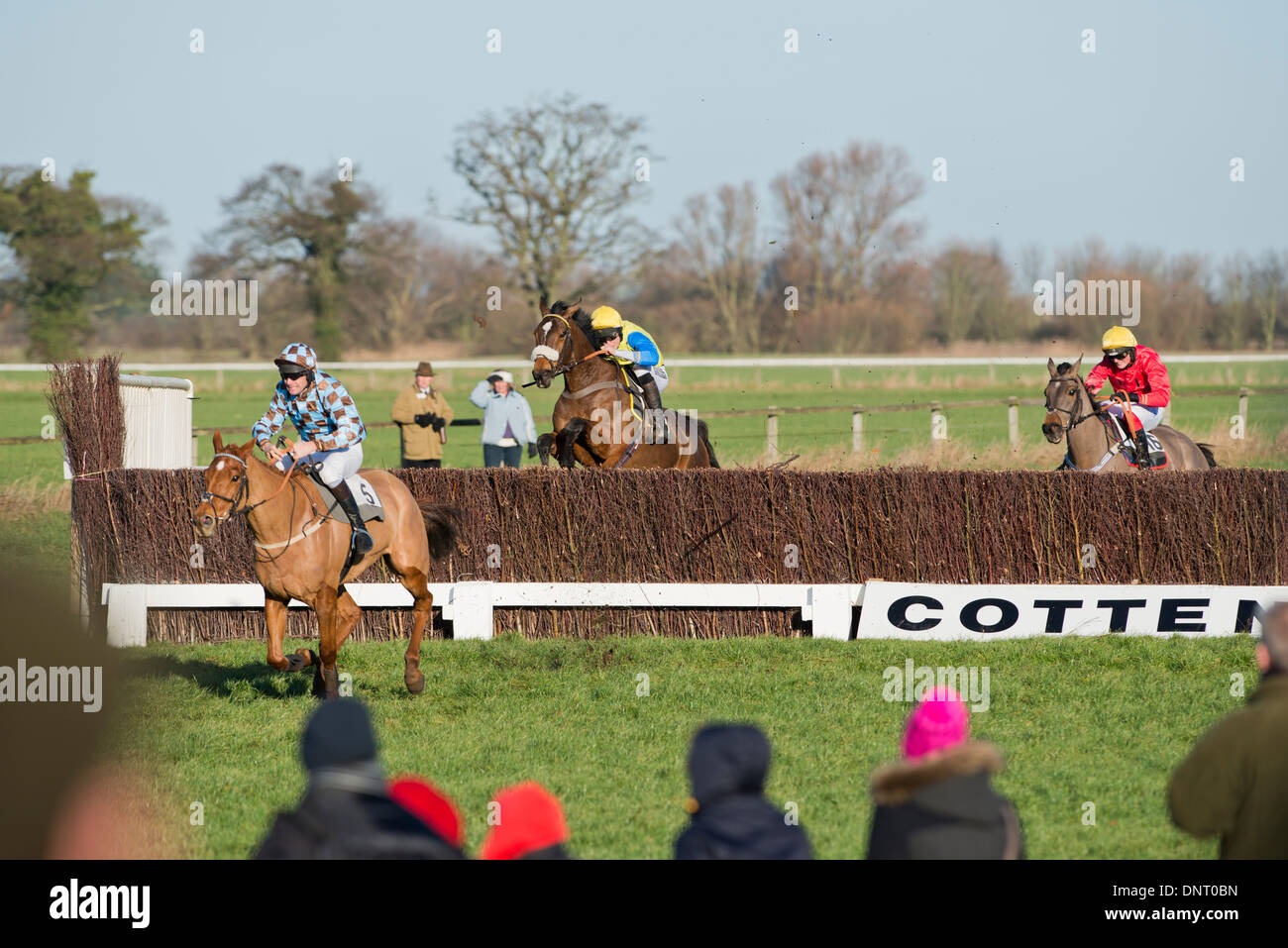 Drei Pferde springen über den letzten Zaun in einem Pferd Rennen im Vereinigten Königreich Stockfoto
