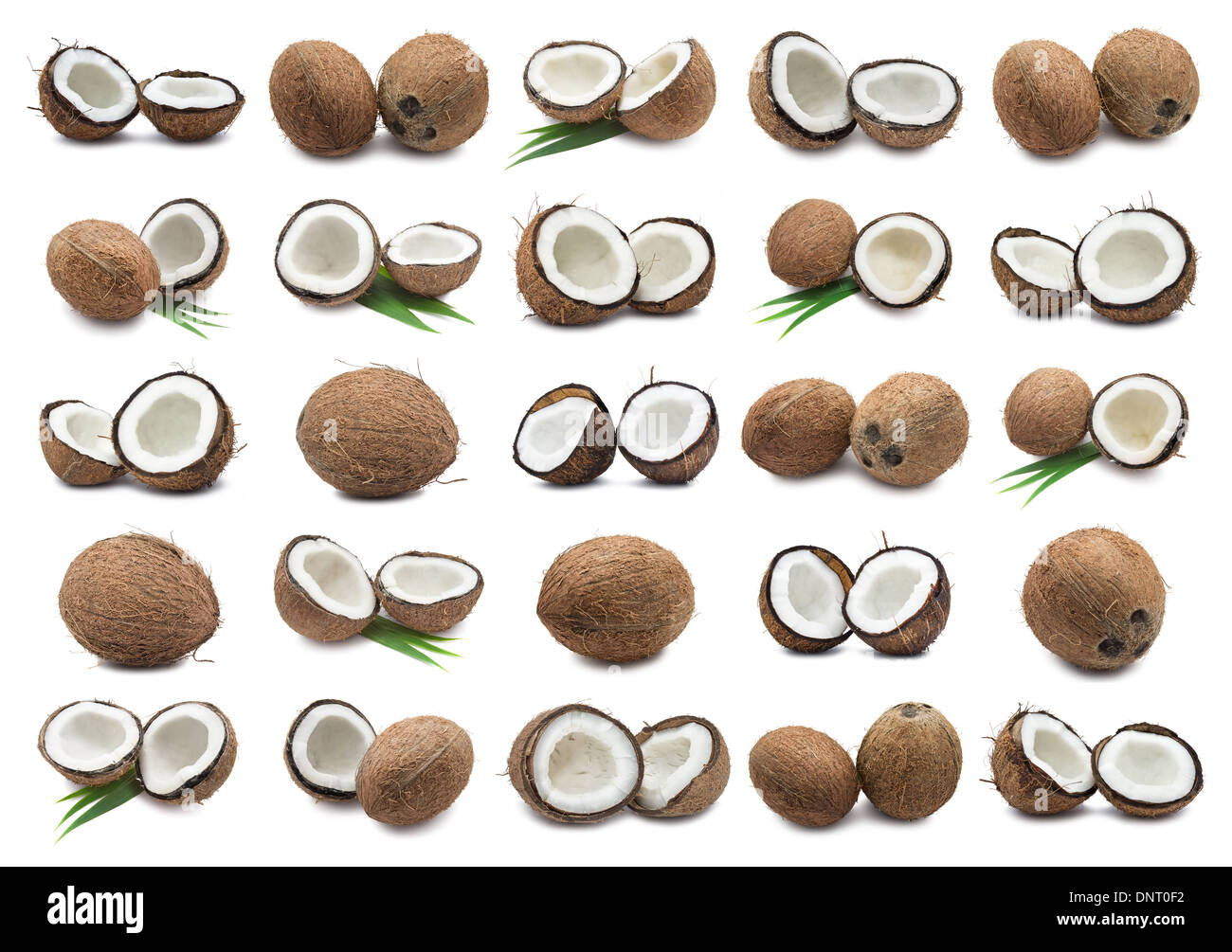 Kokosnüsse Stockfoto