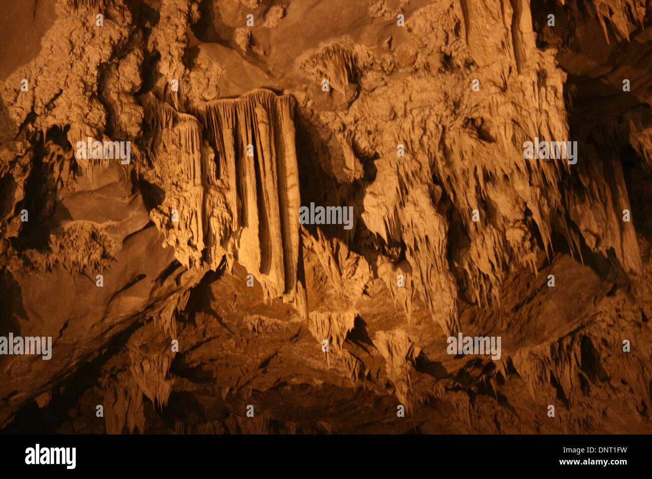 Calcit-Bildung, Schwalbennest-Höhle, in der Nähe von Jianshui, China Stockfoto