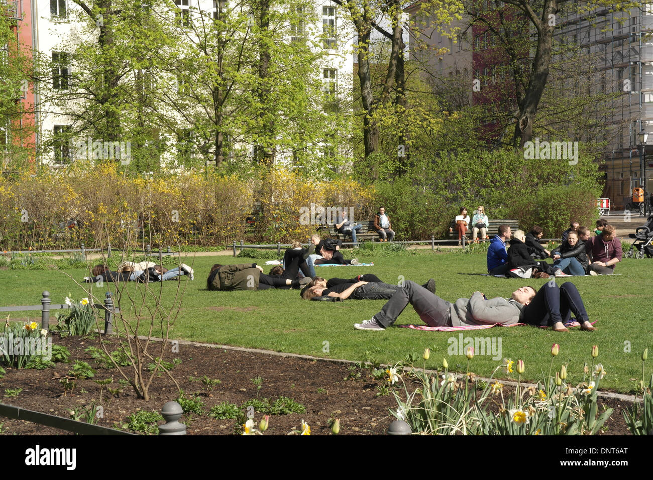 Sonnigen Stadtpark Blick Blume Bett Tulpen, junge Menschen lügen, entspannenden grünen Rasen, Bäumen und Gebäuden, Arkonaplatz, Berlin Stockfoto