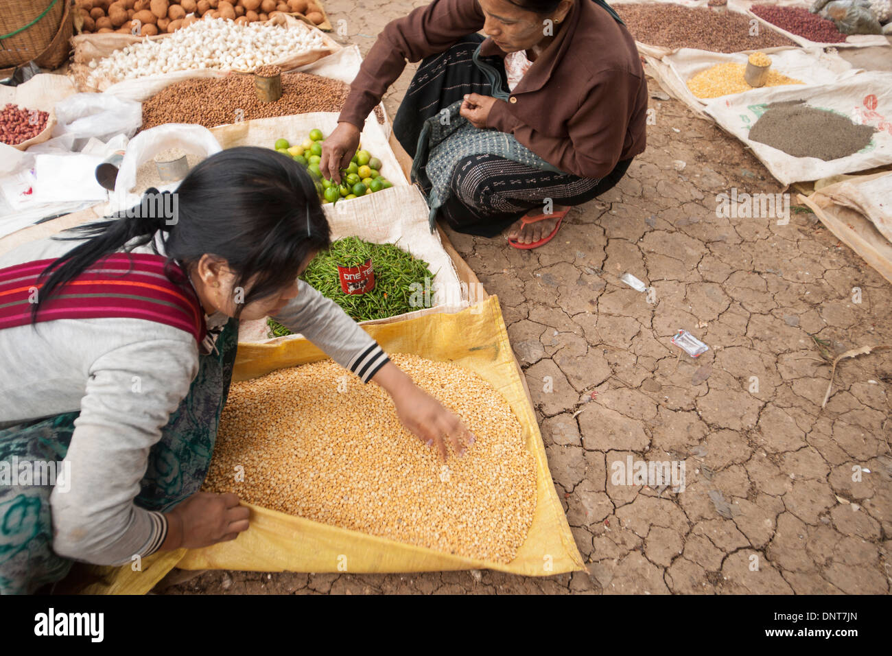 Asiatischen Märkten wählen Frauen durch Samen verbreiten über Boden Blätter auf einem traditionellen Markt am 3. November 2013 Ywar Ma Village Stockfoto