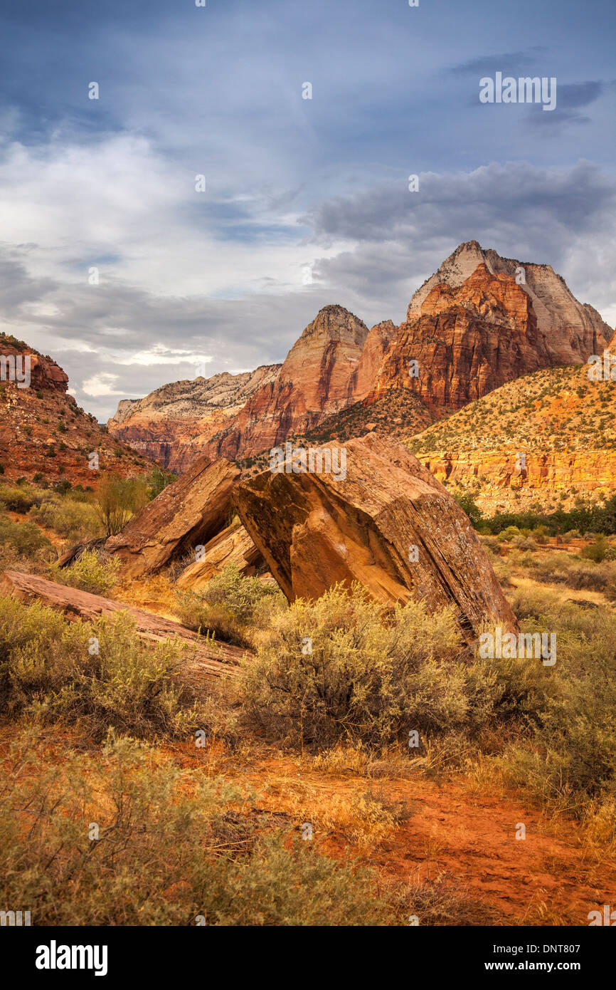 Erodierten Felsen mit Brücke Berg im Hintergrund, Zion Nationalpark, Utah, Usa Stockfoto