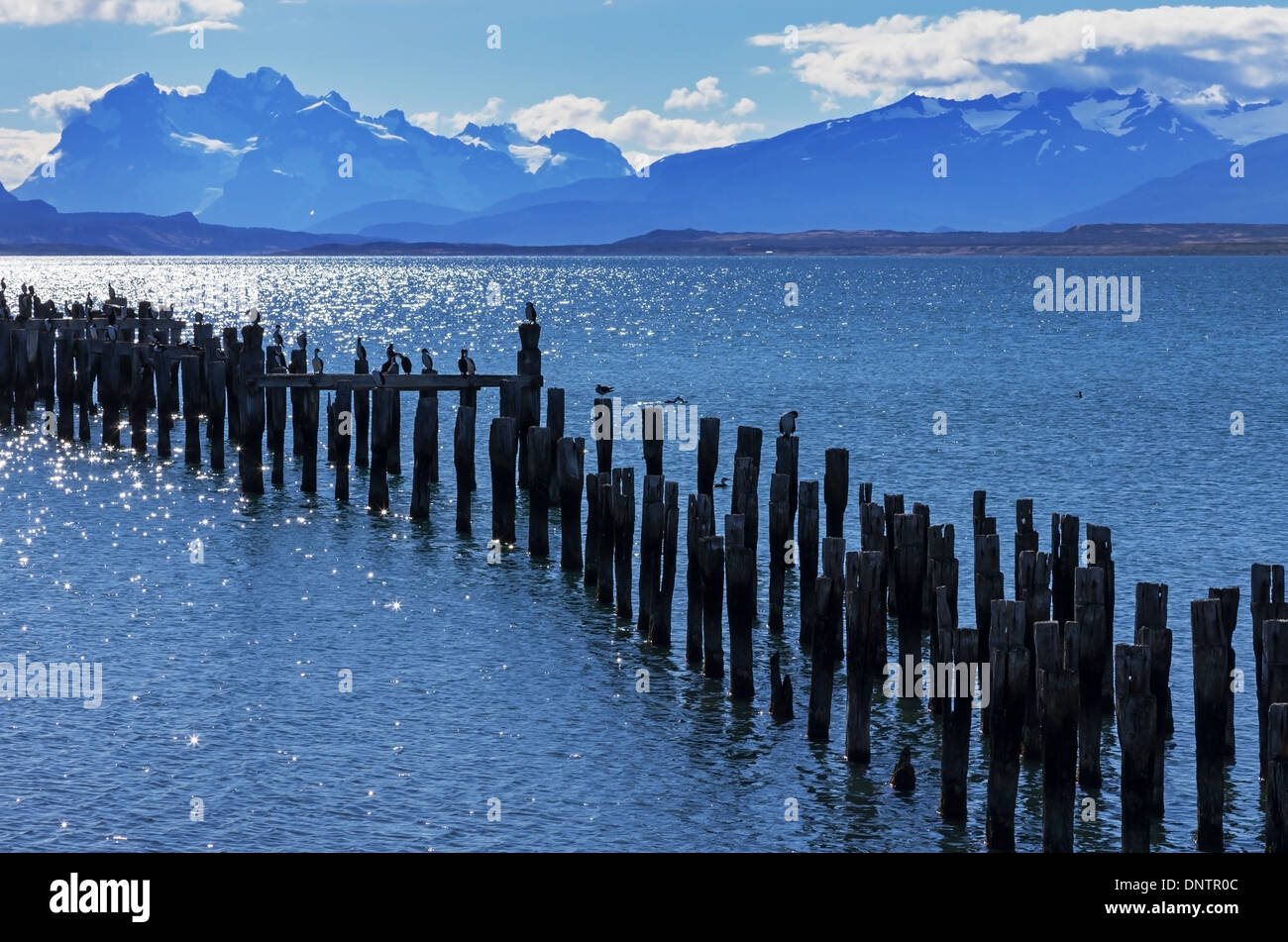 Patagonien-Bucht und die Berge von Puerto Natales mit Kormoranen auf alten Pfeilern und Mount Balmaceda über letzte Hoffnung Sound Stockfoto